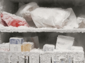 Messy-Freezer-crop